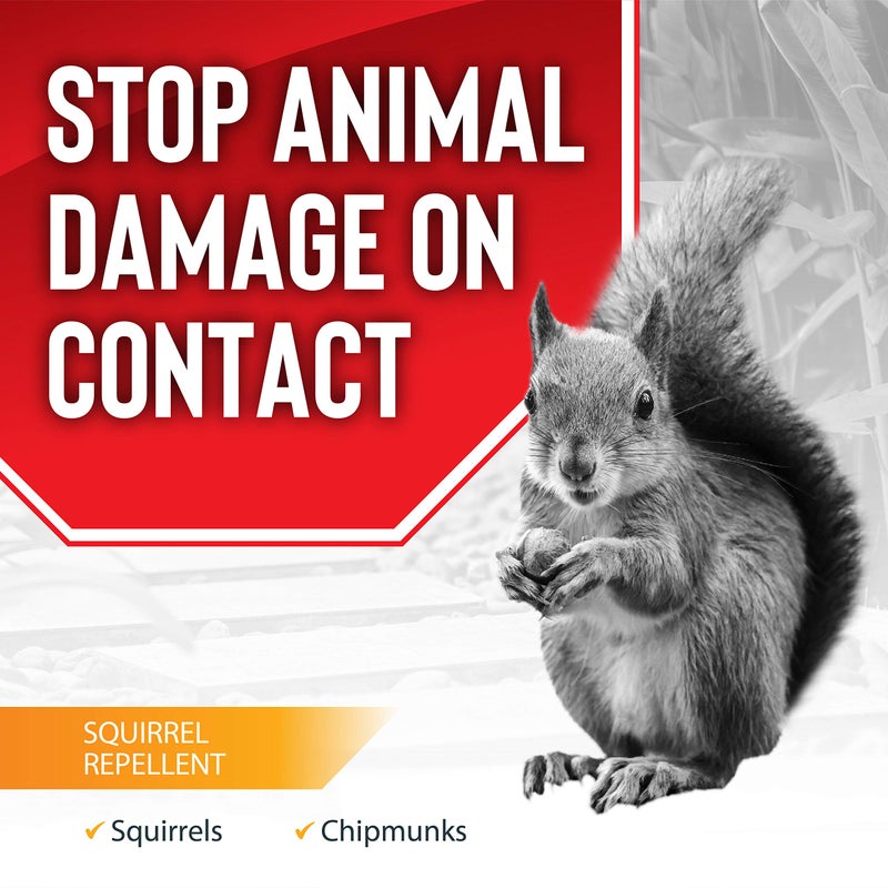 Deer Stopper Squirrel Stopper, Liquid Animal Stopper Repellent, All Natural, Effective All Year Round, Safe for People and Pets, No Harsh Chemicals, Ready to Use, Squirrel Repellent - 1 Gallon - Image 2